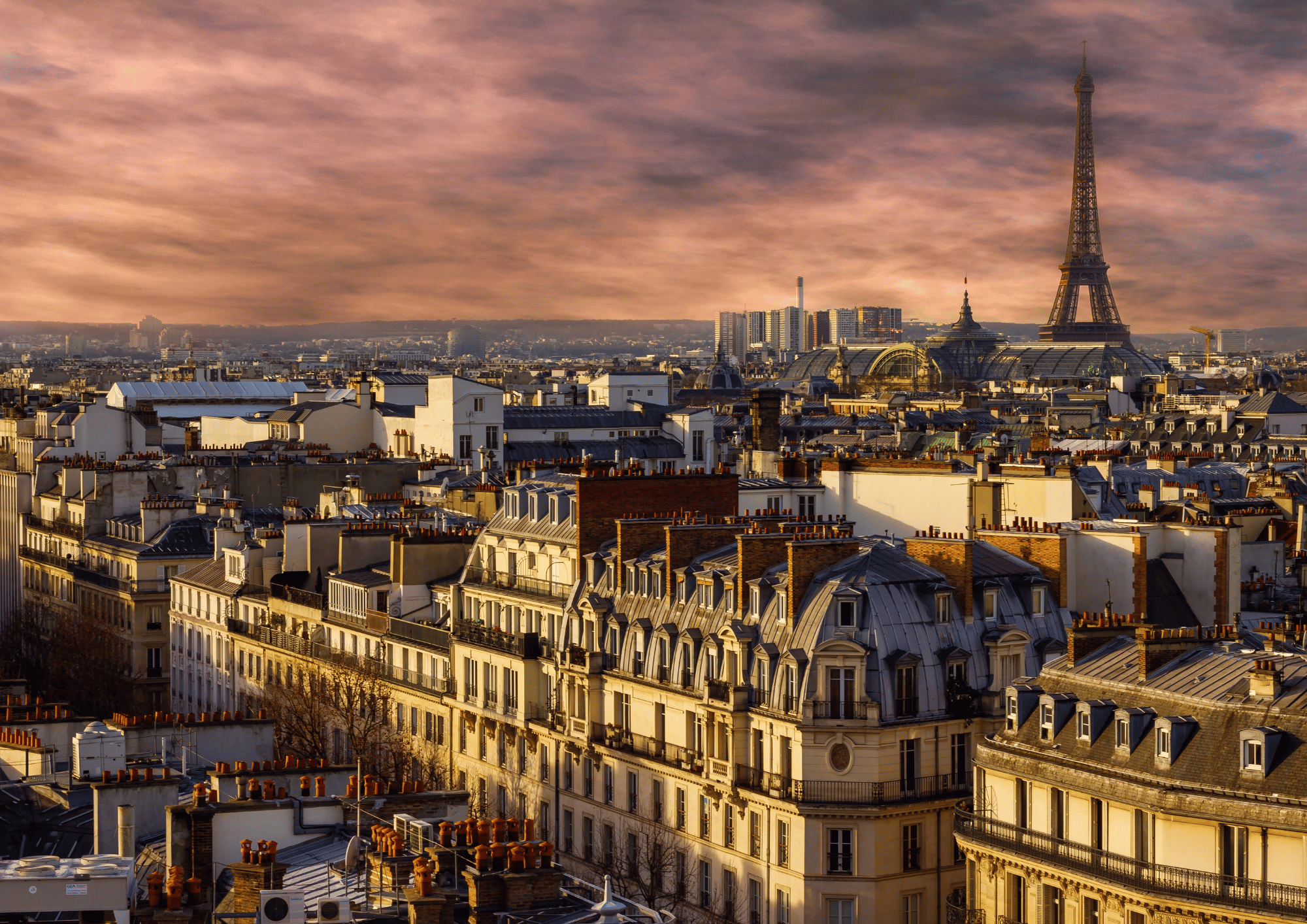 Paris 2025 : pourquoi un expert en location meublée recommande