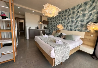 894EEFD0-3A63-4848-BC01-775DDA21AFAE_1_105_c