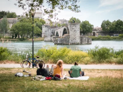 ile-barthelasse-avignon-julie-vandal