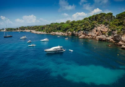 shutterstock_1477033304